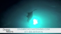 World's Best Diving & Resorts: Rich Coast Diving
