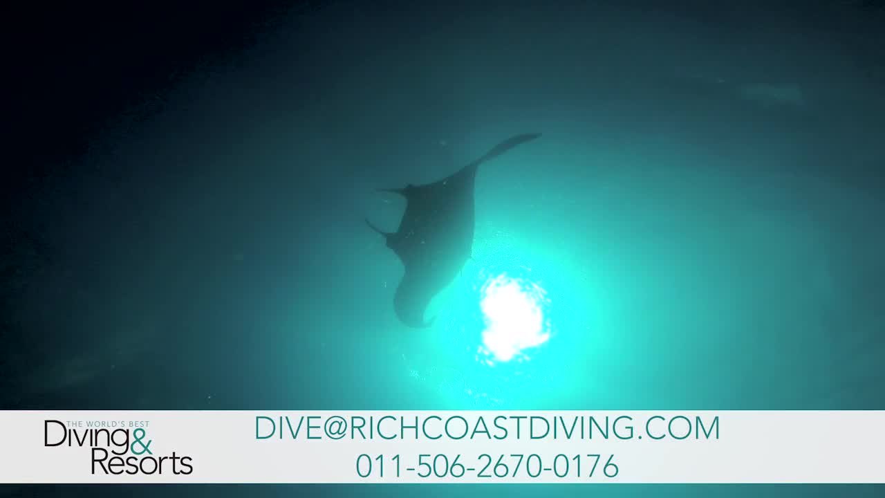 World's Best Diving & Resorts: Rich Coast Diving