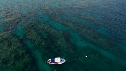 Big Pine Key: Adolphus Busch Sr.