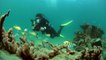 ScubaLab TV: Olympus Underwater Cameras & Housing
