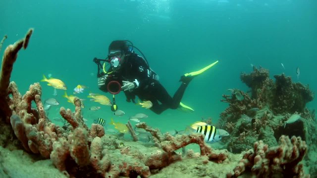 ScubaLab TV: Olympus Underwater Cameras & Housing