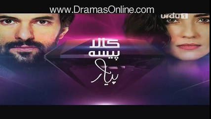 Kaala Paisa Pyar Episode 135 Dailymotion on Urdu1 - 9th February 2016