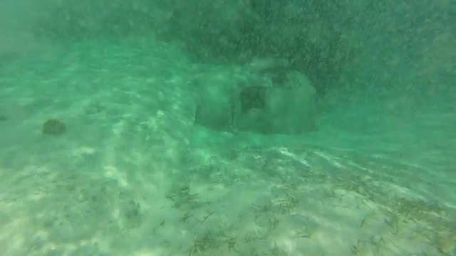 Snorkeling on the sunken plane at Normans Cay, Bahamas