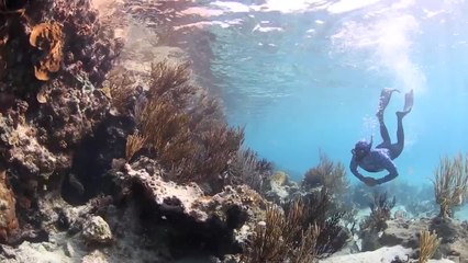 ScubaLab TV: IST Sports VSH100 Camouflage Hooded Rash Guard