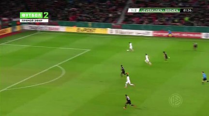Florian Grillitsch Goal - 1-3 Bayer Leverkusen vs Werder Bremen 09.02.2016 HD