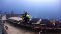 Stuart Cove's Dive Bahamas Underwater Hollywood Dive