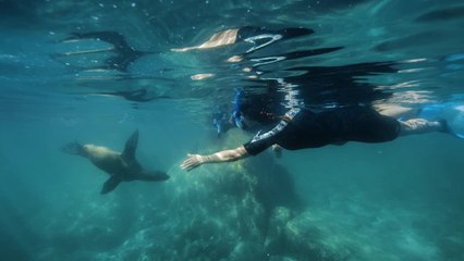 World's Best Diving & Resorts - La Paz