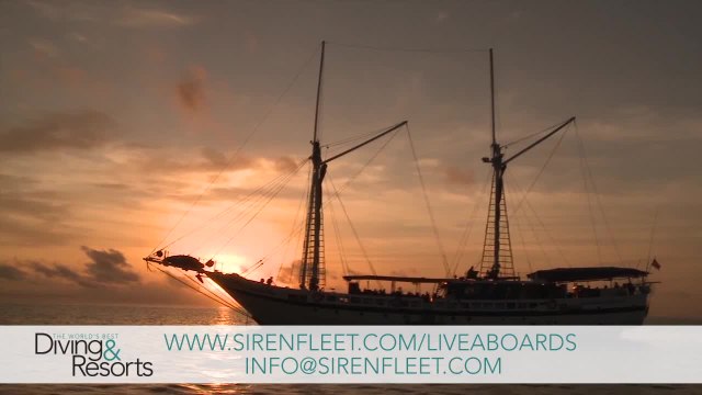 World's Best Diving & Resorts: Siren Fleet
