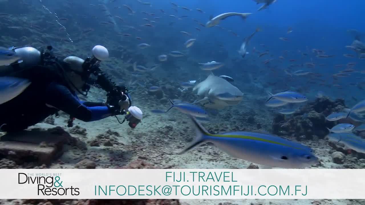 World's Best Diving & Resorts Fiji video Dailymotion