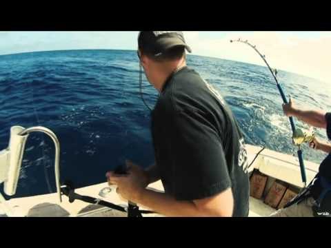 Predator Pursuit with Jeff Thomason - World Record Part Two