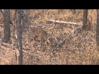 Easton Bowhunting TV - Big Sky Country