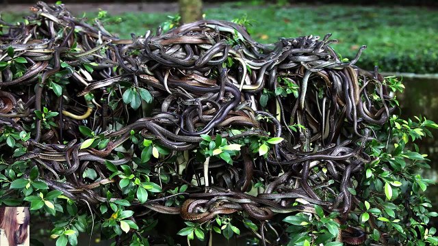 ТОП 5: САМЫХ СТРАШНЫХ МЕСТ НА ЗЕМЛЕ