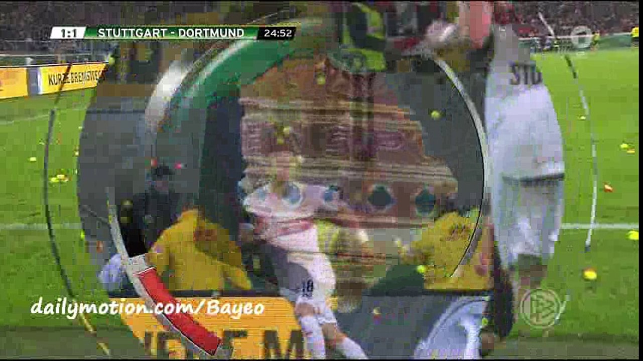 Dortmund fans throw hundreds of tennis balls onto pitc (VfB Stuttgart 1-2 Dortmund)