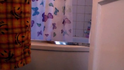 Terrible cat prank pisses off parrot