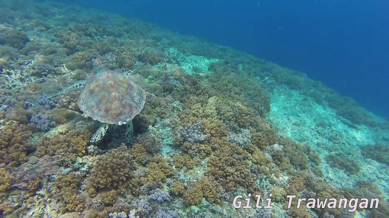Bali et gili 2015