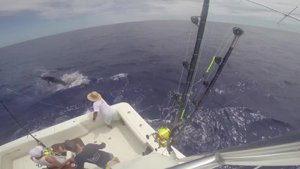 Bermuda Billfish Blast 2014