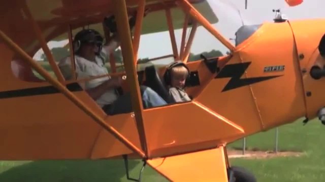 Flying Is a Little Yellow Cub