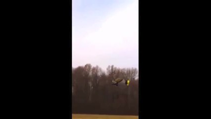 Flying Is Making the Leap