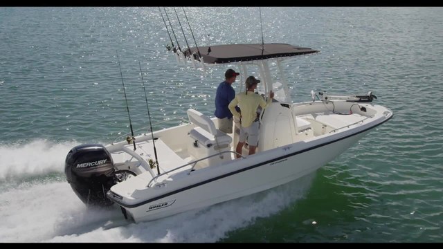 Boston Whaler 210 Dauntless