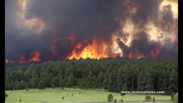 Western Rut Report: How Wildfires Affect Deer Hunting