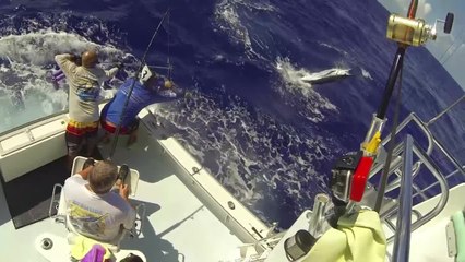 Sea Horse Anglers Club Billfish Tournament 2014