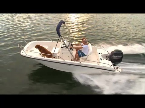 Boston Whaler 170 Dauntless