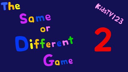 The Same or Different Game 2