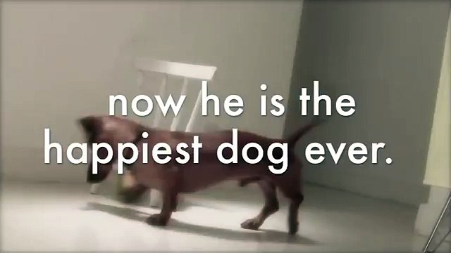 Ha vissuto tutta la vita in pessime condizioni. Ecco la sua reazione quando si sdraia per la prima volta su un letto