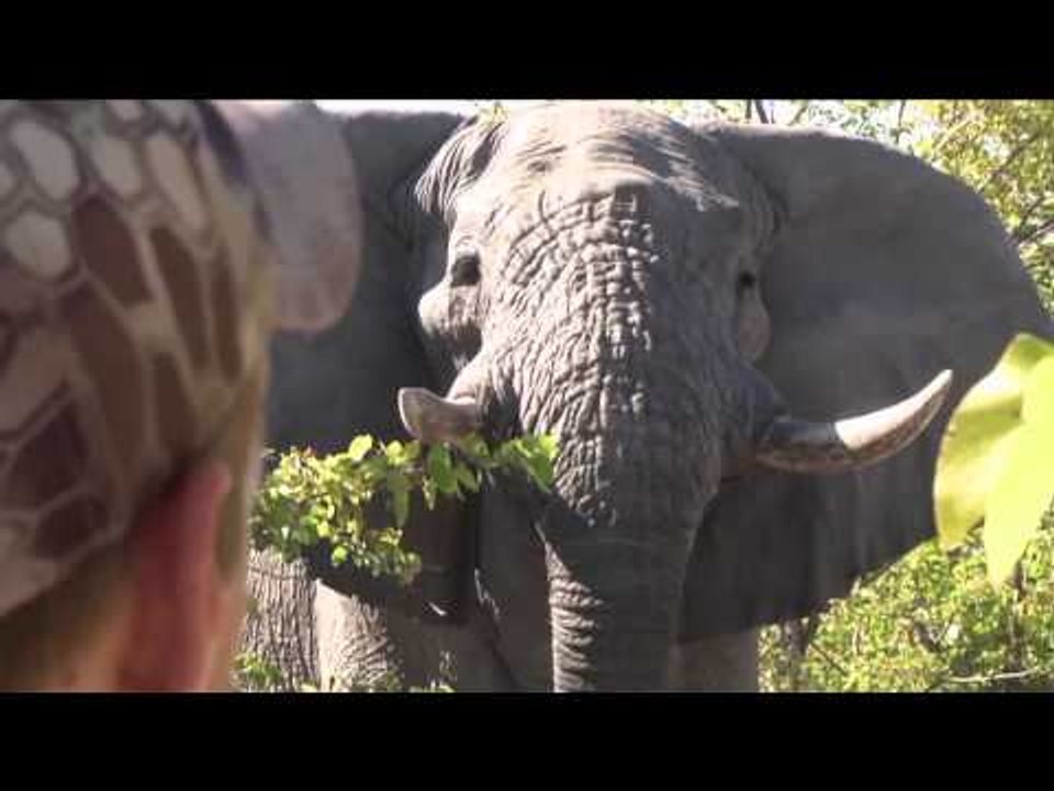 Dallas Safari Clubs Tracks Across Africa - Botswana  The Ultimate Gift