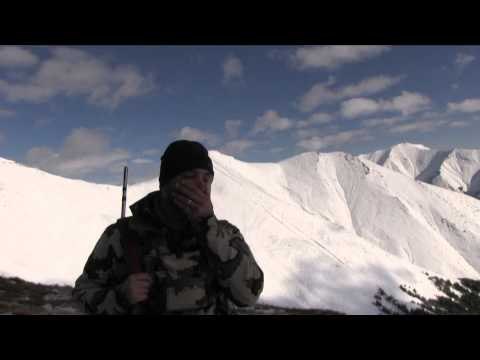 Outdoor Quest TV - Alberta Bighorn Sheep