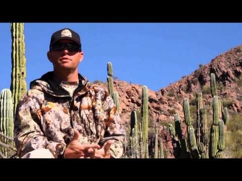 Where in the World is Colorado Buck - Desert Bighorn with Sonora Darkhorn Adventures