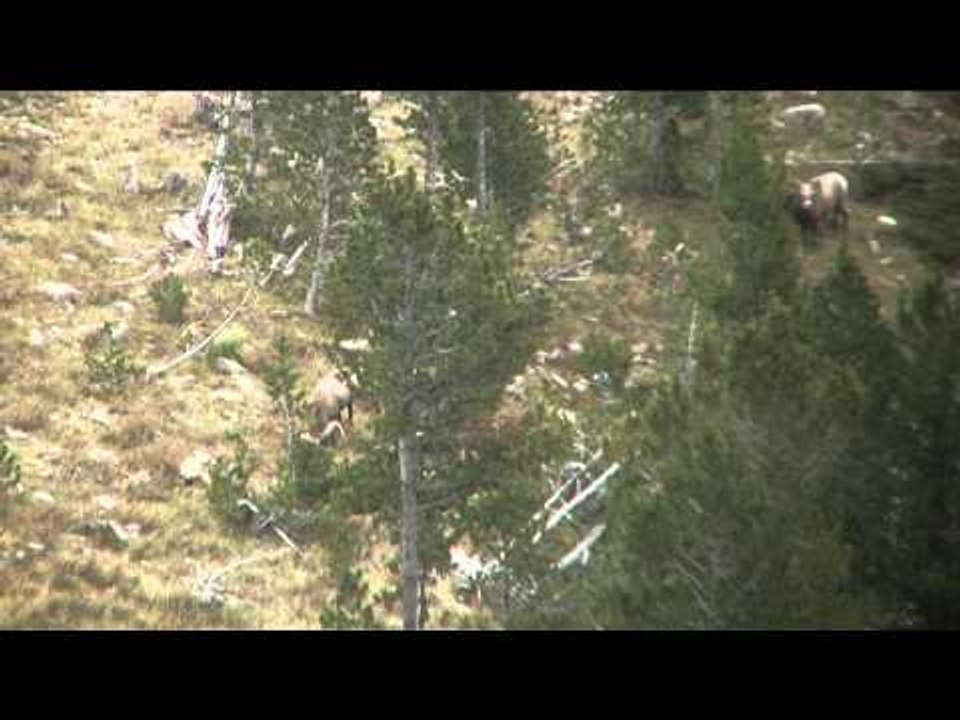 Off Grid Hunter - Helena Good