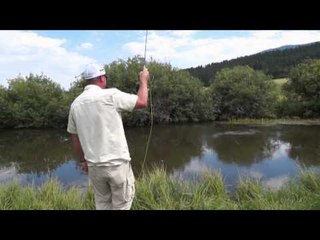 Fly Rod Chronicles - Boxwood
