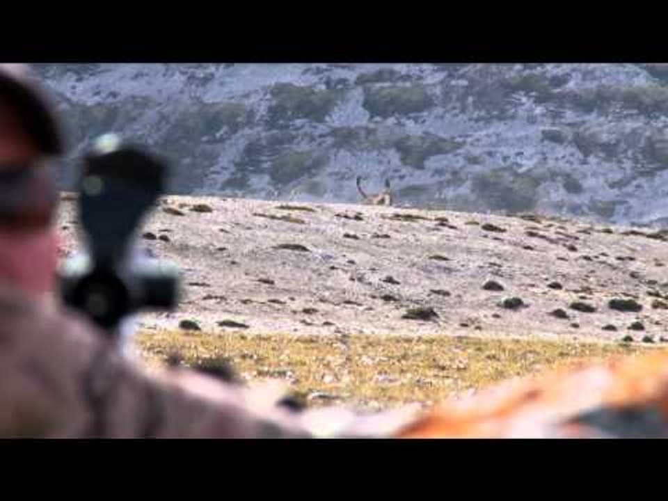 The Canadian Tradition - The Canadian Tradition