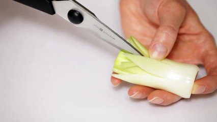 Leek Garnish (Food Design)