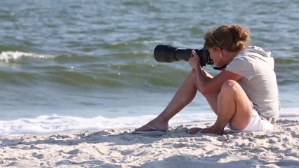 I, Photographer: Lisa Franceski's Shore Birds