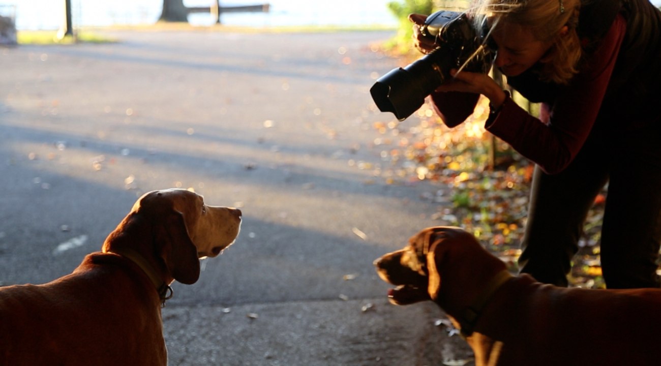 I, Photographer: Diana Haskell's Animal Portraits