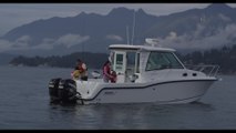 Boston Whaler 315 Conquest Pilothouse