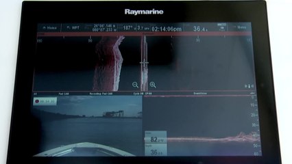 Raymarine CP200 SideVision Sonar