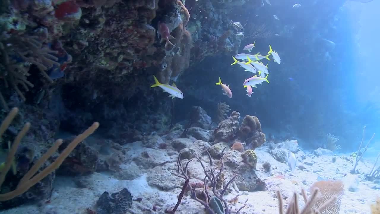 Marine Protected Areas