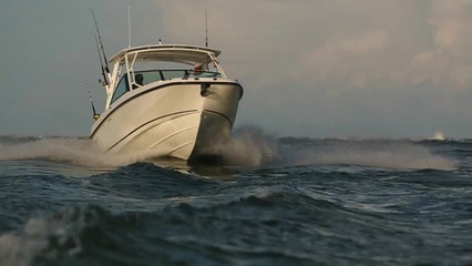 Boston Whaler 270 Vantage