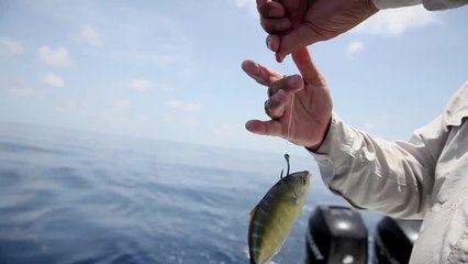 Benefits of Circle Hooks