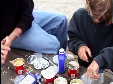 Seagulls on Laxatives Prank