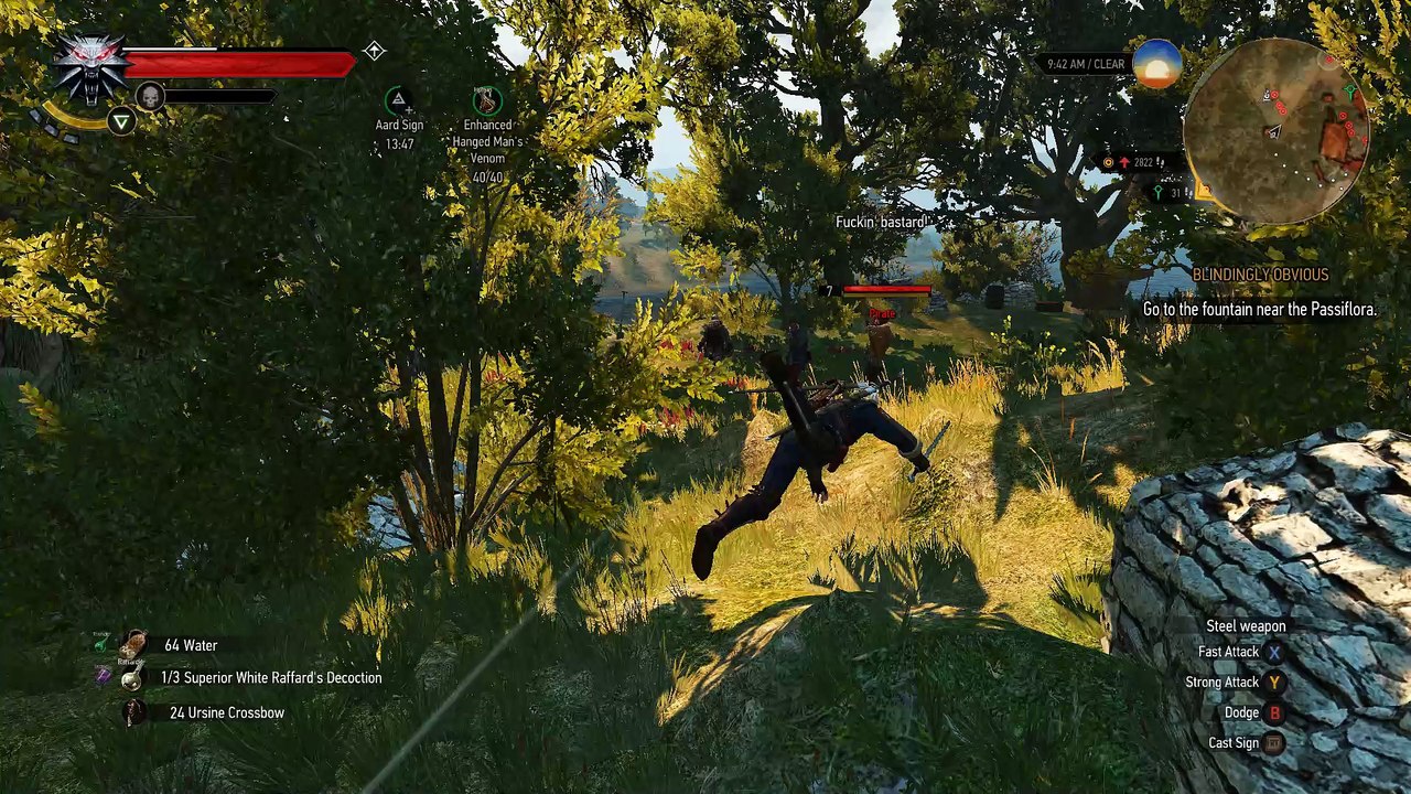 The Witcher 3 gore