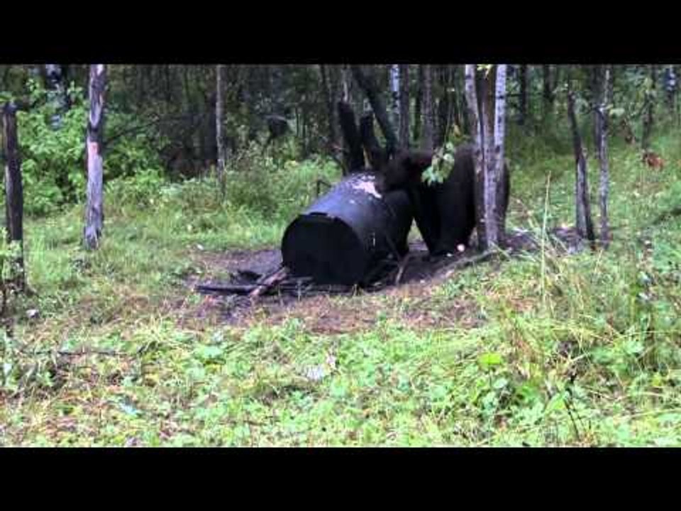 The Hitmen - Hitmen Collide