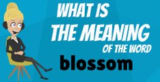 What is BLOSSOM? BLOSSOM meaning - BLOSSOM definition - BLOSSOM dictionary - How to pronounce BLOSSOM