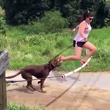 مزاحیہ خاکے آپ ھنسے بغیر نہیں رہ سکتے Funny videos having lot of fun
