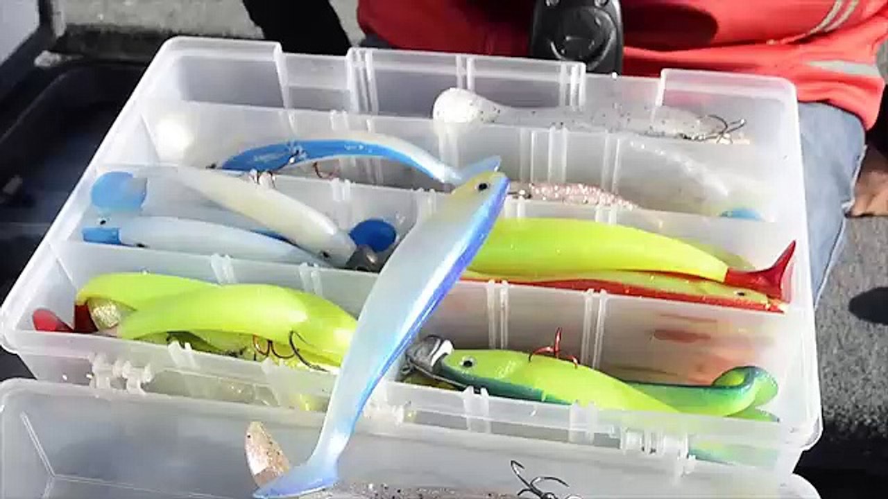 Arnaud Fileppi - Guide de pêche