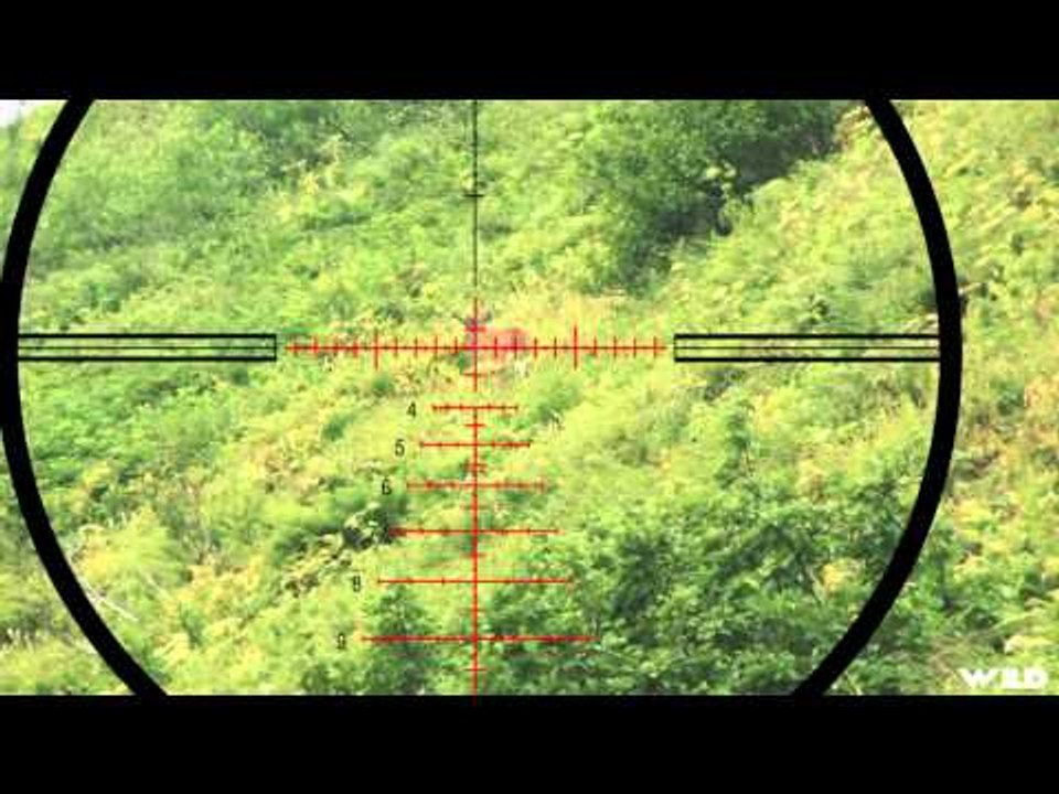 Extreme Outer Limits TV - Alaskan Sitka Blacktail and Mountain Goat