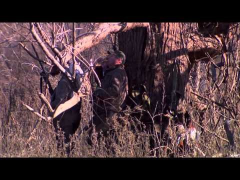 Primos The Truth About Hunting - Team Primos Hunts Deer and Ducks